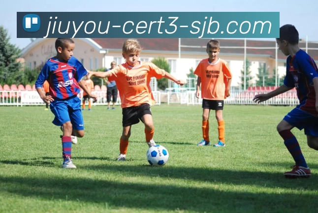 九游证书3，九游证书，九游官网，九游安全信息，九游APP平台生态图